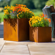 Two Corten rusted planters